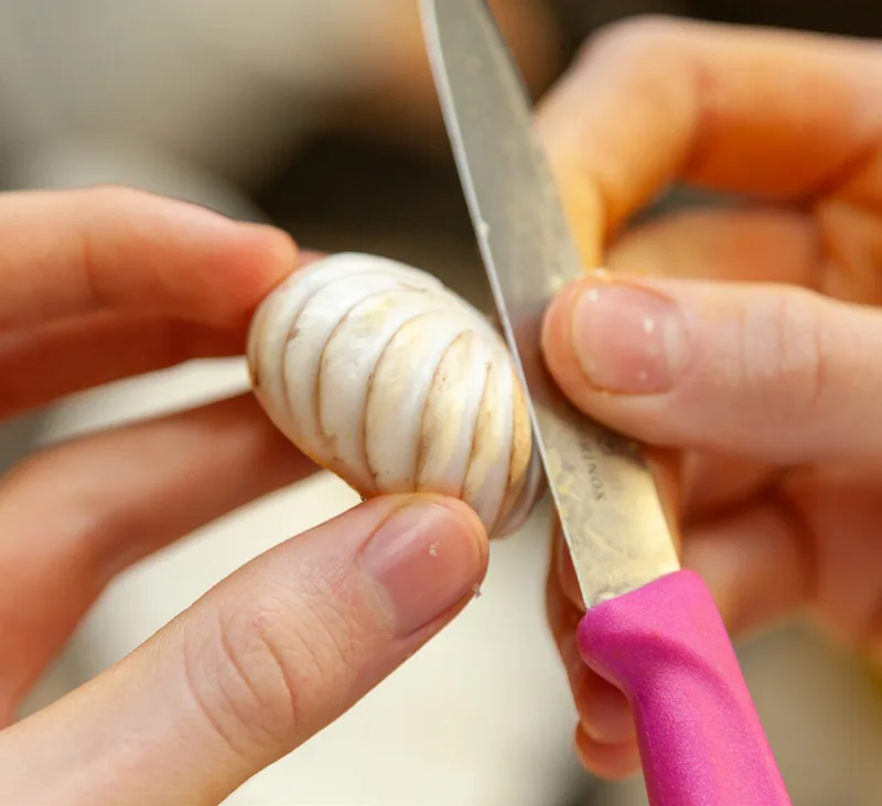 Le geste précis du tournage, enseigné par Vianney Lecocq à Ferrandi Paris.